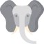 Elephant icon 64x64