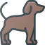 Dog icon 64x64