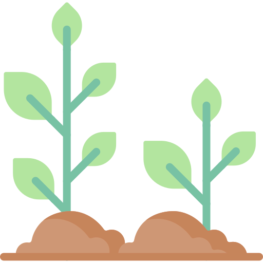 Sprout 图标