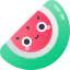 Watermelon icon 64x64