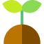 Sprouts 图标 64x64