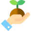 Sprout 图标 64x64