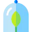 Plant 图标 64x64