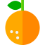 Orange icon 64x64
