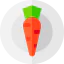 Carrot icon 64x64
