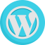 Wordpress icon 64x64