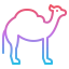 Camel 상 64x64