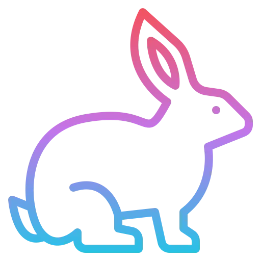 Rabbit 상