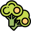 Broccoli icon 64x64