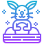 Rabbit icon 64x64