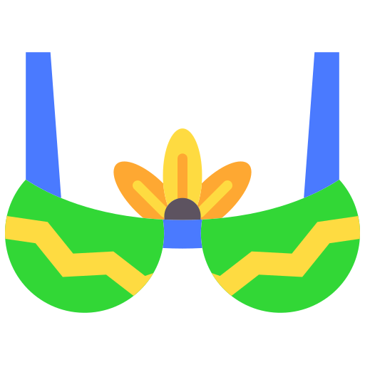 Bra icon