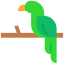 Parrot icon 64x64
