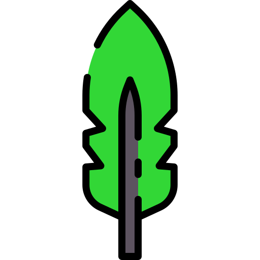 Feather icon