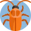 American cockroach icon 64x64