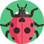 Ladybug icon 64x64