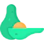 Avocado icon 64x64