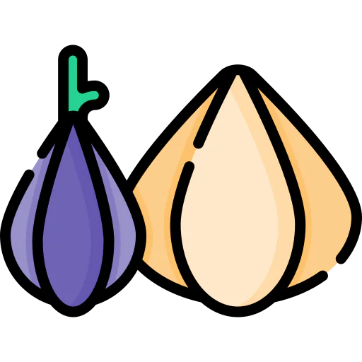 Onions icon