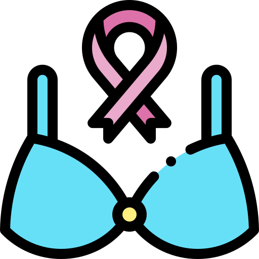 Bra icon