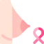 Breast cancer Symbol 64x64