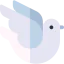 Pigeon icon 64x64