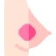 Breast cancer Symbol 64x64