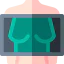 Mammography icon 64x64