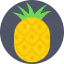 Pineapple Ikona 64x64