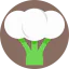 Broccoli Ikona 64x64
