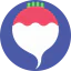 Radish Ikona 64x64
