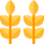Wheat icon 64x64
