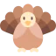 Turkey アイコン 64x64