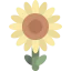 Sunflower アイコン 64x64