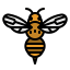 Bee icon 64x64