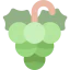 Grapes アイコン 64x64