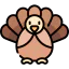 Turkey icon 64x64