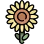 Sunflower icon 64x64