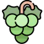 Grapes icon 64x64