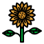 Sunflower 图标 64x64