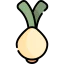 Onion icon 64x64