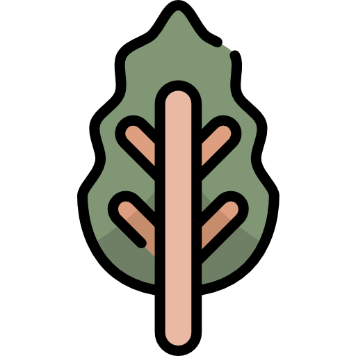 Leaf icon