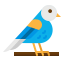 Bird icon 64x64