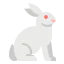 Rabbit icon 64x64