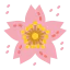 Sakura icon 64x64