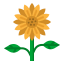 Sunflower icon 64x64