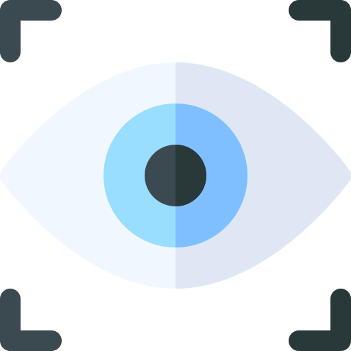 Focus icon