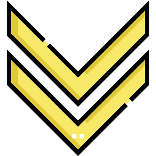 Double chevron icône