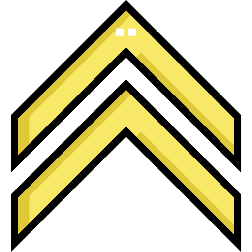 Double chevron icon