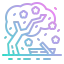 Sakura icon 64x64