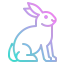 Rabbit biểu tượng 64x64