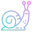 Snail biểu tượng 64x64